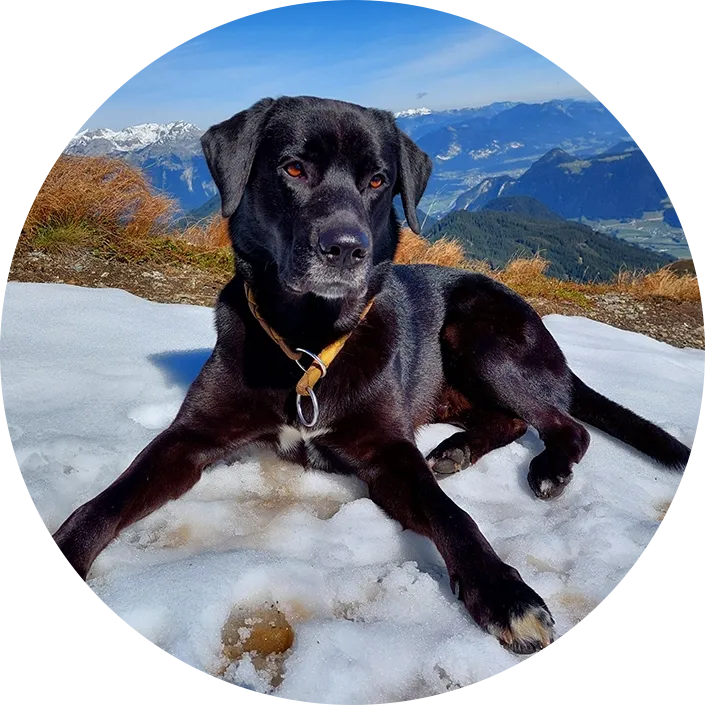 Lui